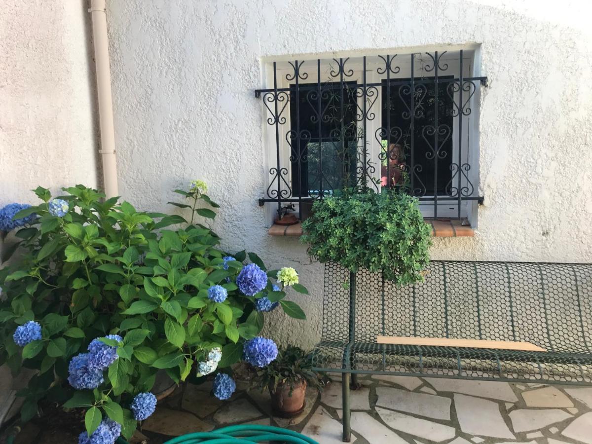 Chambre D'Hote A La Maison Du Petit Bois 4 Etoiles Bed & Breakfast Ventenac-Cabardès Exterior foto